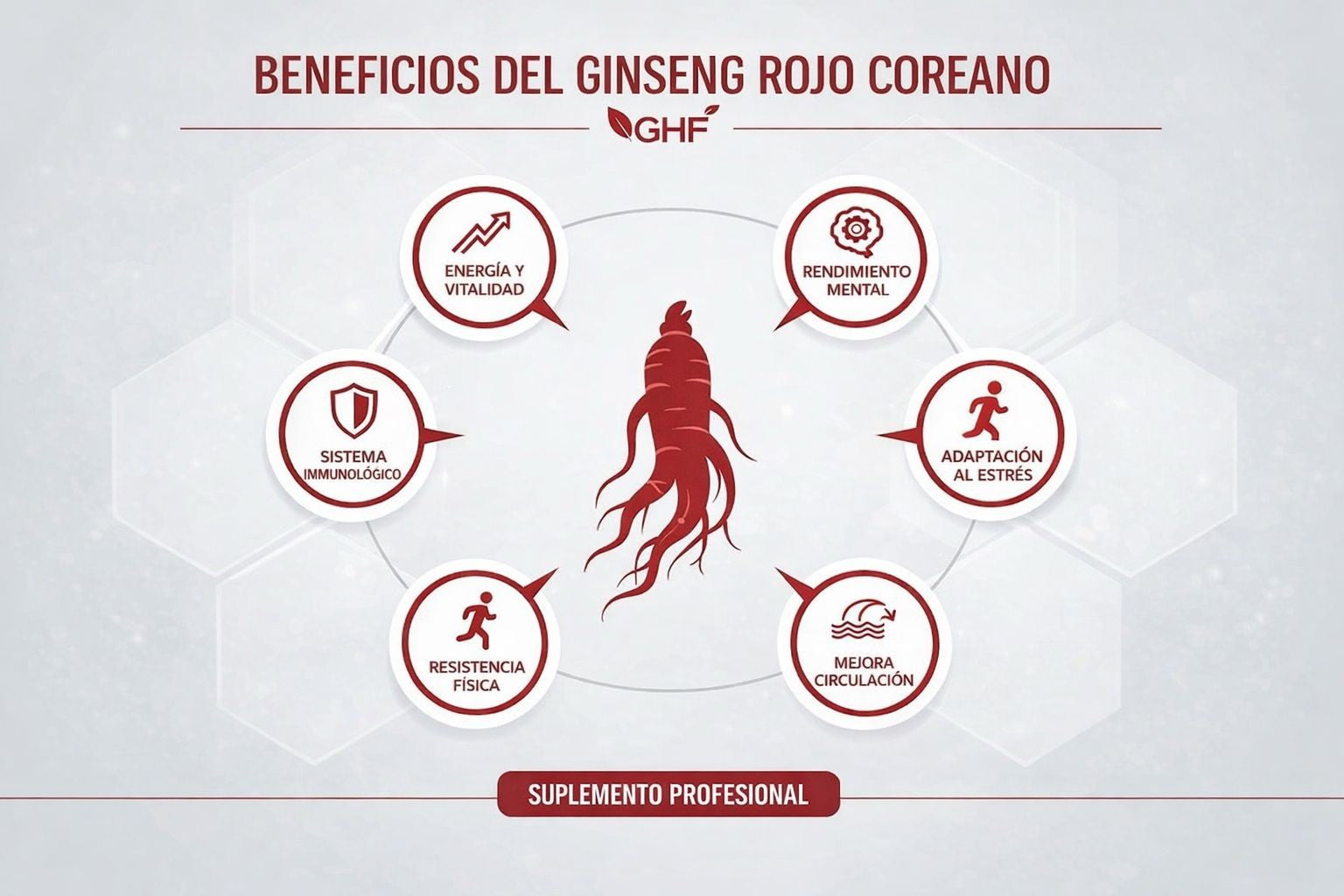 GHF Ginseng Rojo Coreano 500mg Panax Ginseng - 90 Cápsulas Energía y Vitalidad