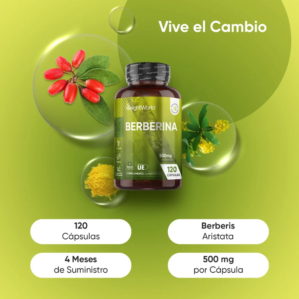 Berberina WeightWorld con 120 cápsulas y suministro para cuatro meses