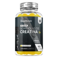 WeightWorld Gominolas de Creatina 5000mg Sabor Limón - Sin Azúcar - 90 Gominolas