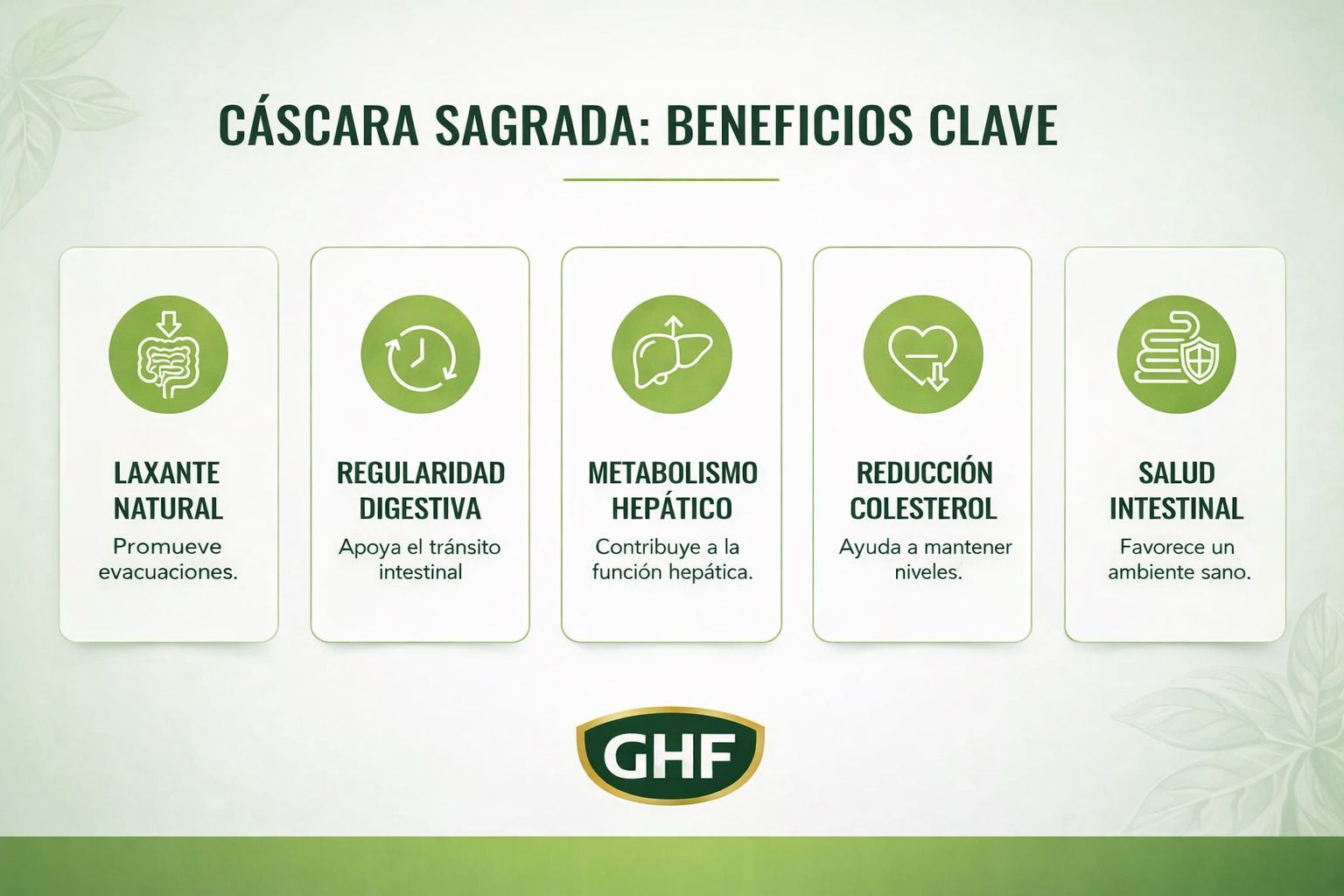 GHF Cáscara Sagrada 500mg con Cascarsósidos - 100 Comprimidos Laxante Natural
