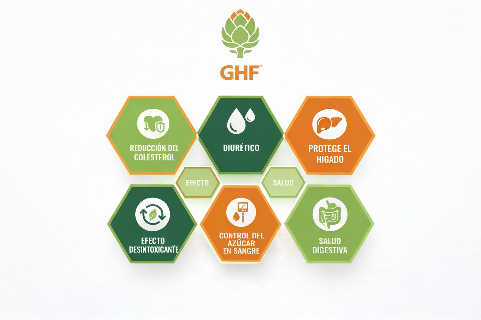 GHF Artichoke 500mg Cynara Scolymus with 5% Cynarine - 100 Hepatoprotective Tablets